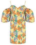 Harper & Yve Jurk hs25c900 kailey
