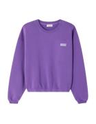 American Vintage Izubird sweaters izu03ah25