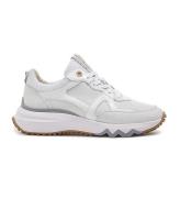 Floris van Bommel Sfw-10111