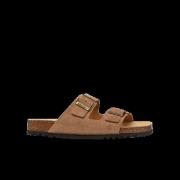 Scholl Julien sue-m