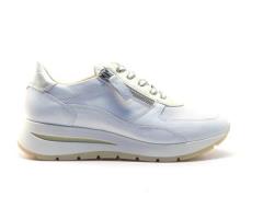 DL Sport 6547