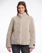 Rino & Pelle Jack kion.7002511