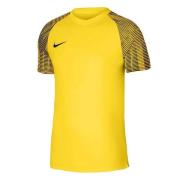 Nike Heren academy dri-fit jersey