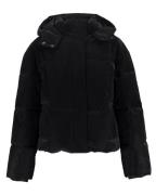 Frankie & Liberty Jack fl25803